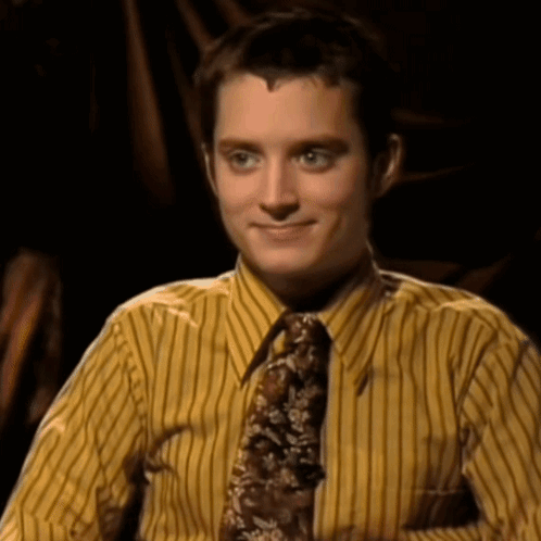 Elijah Wood Frodo Baggins GIF