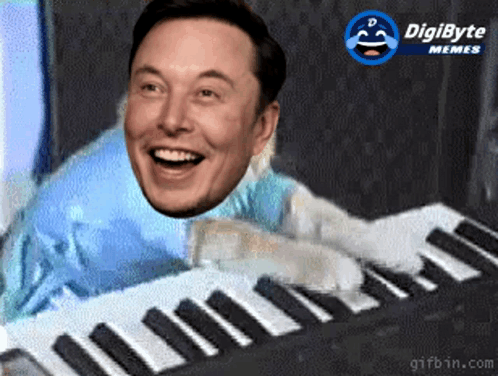 Elon Musk Keyboard Cat GIF