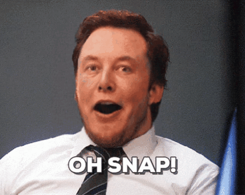 Elon Musk Price GIF