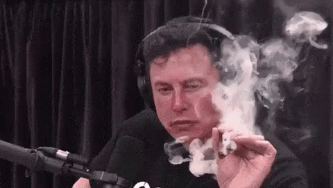 Elon Musk Smoke GIF