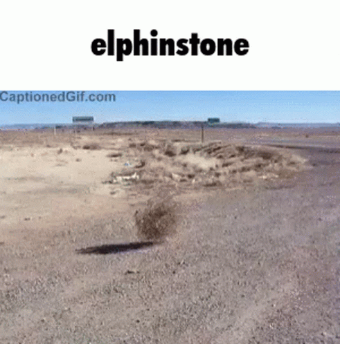 Elphinstone Castlemaine GIF