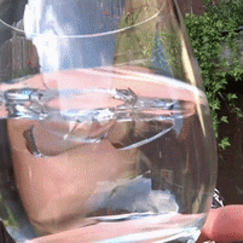 Elv Elvni GIF. This 498 x 498 animated GIF is part of our thanks for watching in water collection. Created by vickylambo. View the original animation, share…