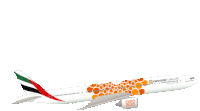 Emirates Airplane Sticker
