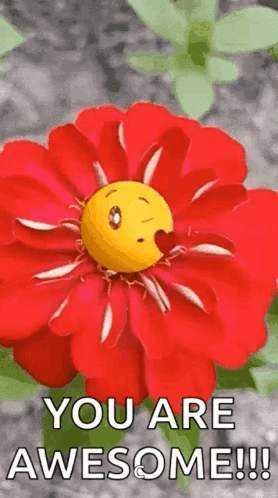 Emoji Flowers GIF. This 278 x 498 animated GIF is part of our flower collection. Related themes include emoji, smile. Created by CDGrateful. View the…