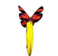 Emoji Smiley Sticker