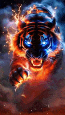 Emrah1177 GIF