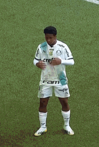 Endrick Palmeiras GIF