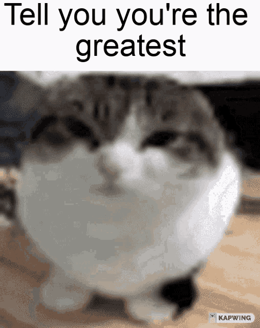Enemy Tell You Youre The Greatest GIF
