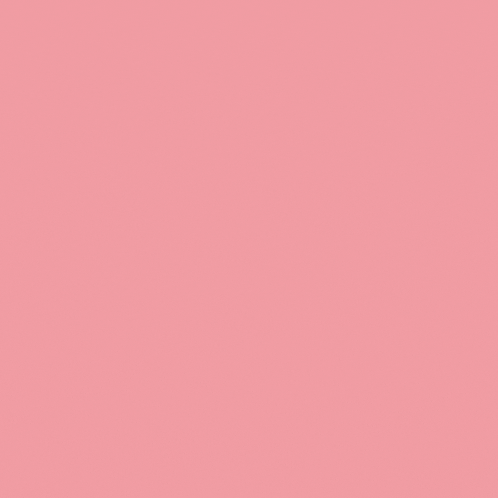 Enhypen GIF