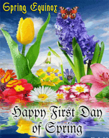 Enjoy The Beauty Of Spring GIF