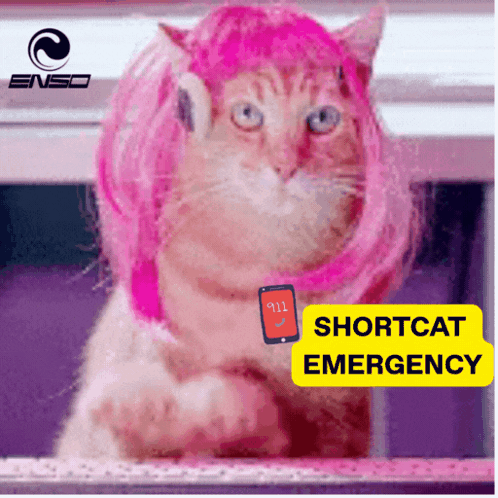 Enso Shortcats GIF