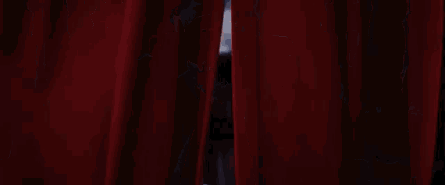 Entrance Curtains GIF