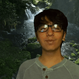 Environment Flora And Fauna GIF
