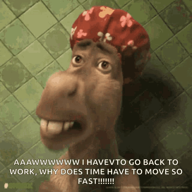 Enyell Burro GIF