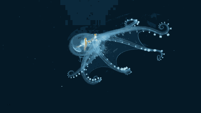 Equatorialcorals Deepseacorals GIF