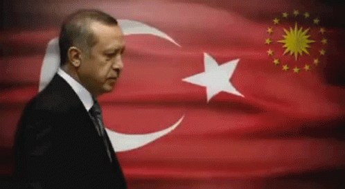 Erdogan Bayrak GIF