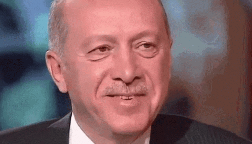 Erdogan Turkey GIF