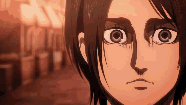 Eren Aot GIF