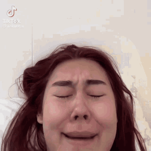 Erikatitus Madsrina GIF