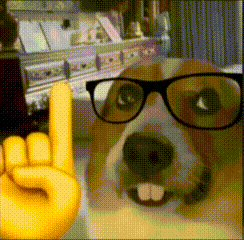 Erm Aksually Nerd GIF