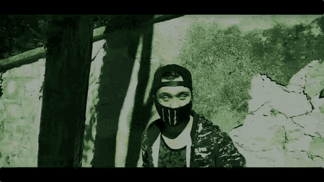Ervv Skull GIF