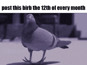 Essica Birb GIF