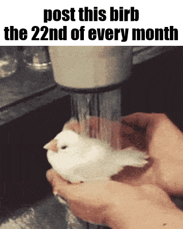 Essica Monthly GIF