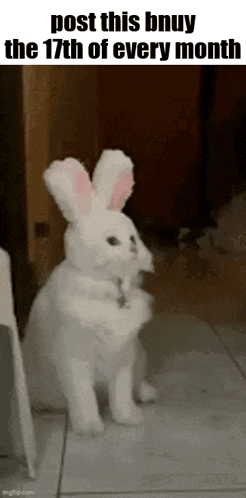 Essica Monthly GIF