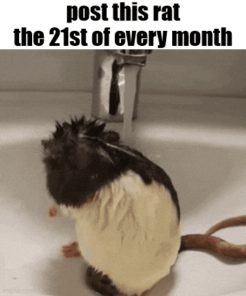 Essica Monthly GIF