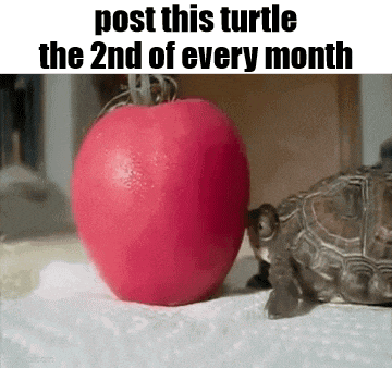 Essica Monthly GIF