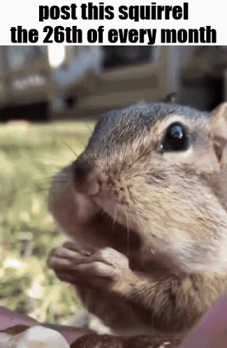 Essica Monthly GIF