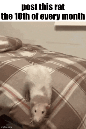Essica Monthly GIF