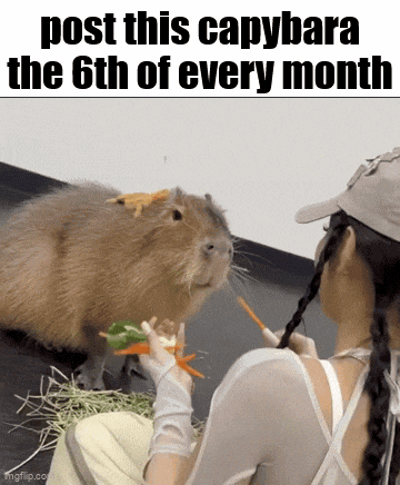 Essica Monthly GIF