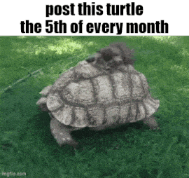 Essica Monthly GIF