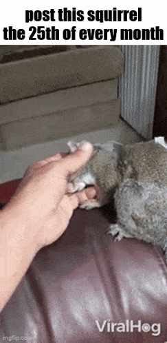 Essica Monthly GIF