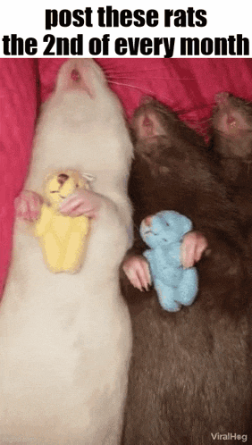 Essica Monthly GIF