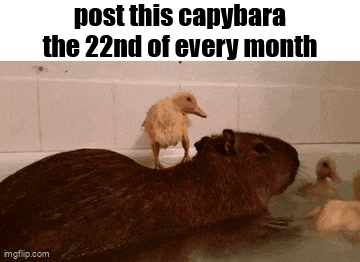 Essica Monthly GIF