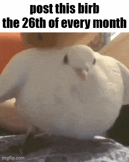 Essica Monthly GIF