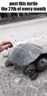 Essica Monthly GIF