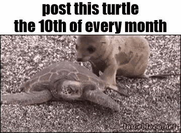 Essica Monthly GIF