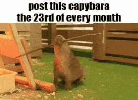 Essica Monthly GIF