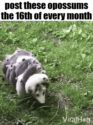 Essica Monthly GIF