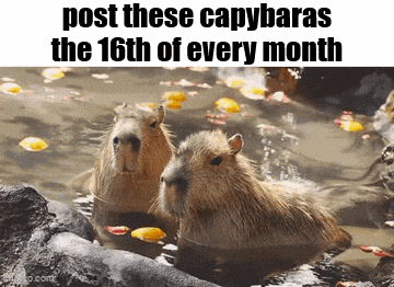 Essica Monthly GIF