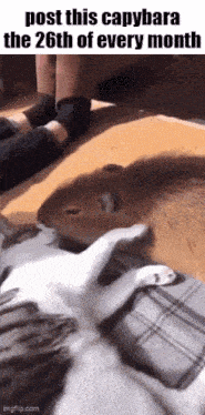 Essica Monthly GIF