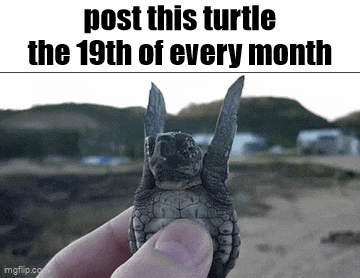 Essica Monthly GIF