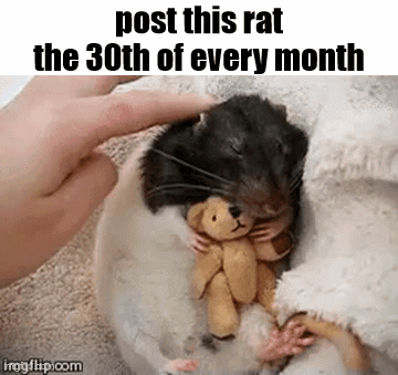 Essica Monthly GIF
