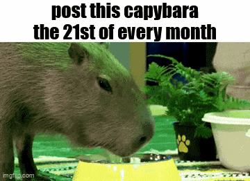 Essica Monthly GIF