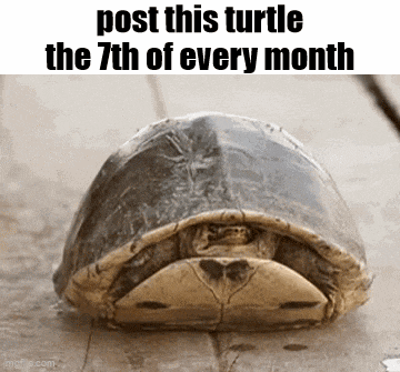 Essica Monthly GIF