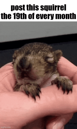 Essica Monthly GIF