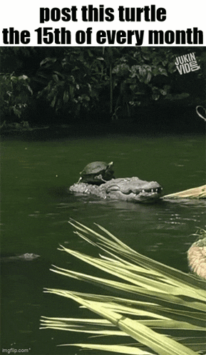 Essica Monthly GIF
